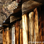 DSC03120 copy