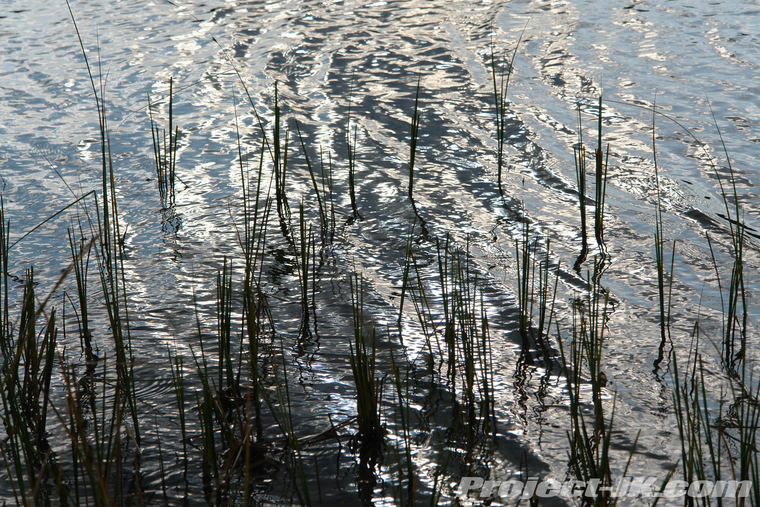 DSC00695 copy