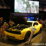 DSC05996