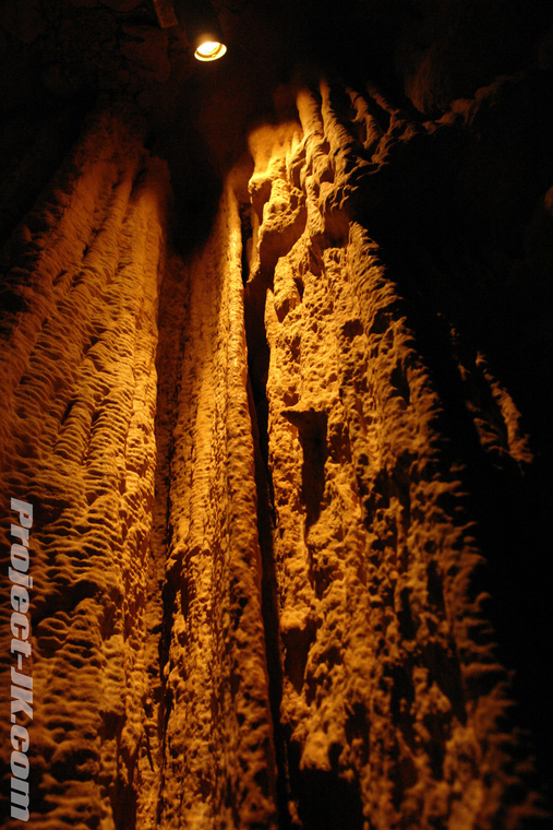 DSC07335 copy