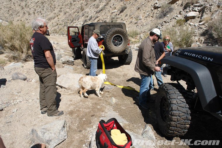 DSC02746_jeep_jk_wrangler