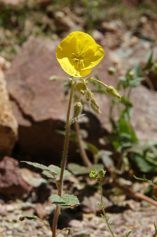DSC06031