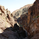 DSC06167
