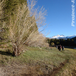 DSC00389 copy