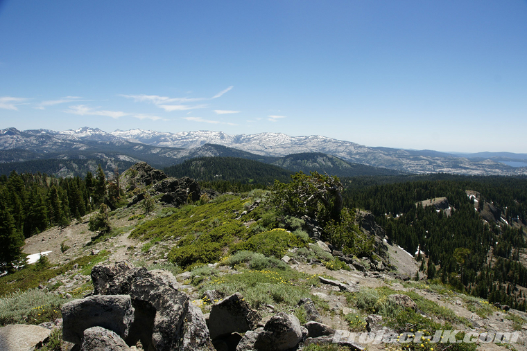 DSC09818