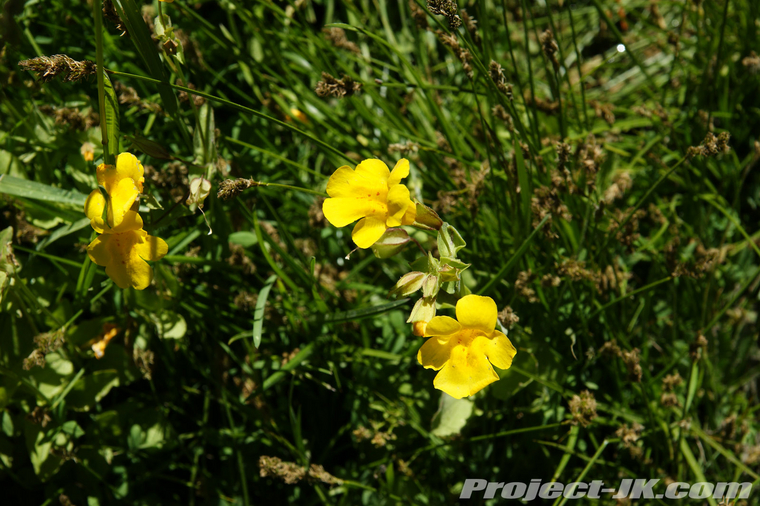 DSC07809