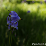DSC00206