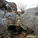 DSC09295