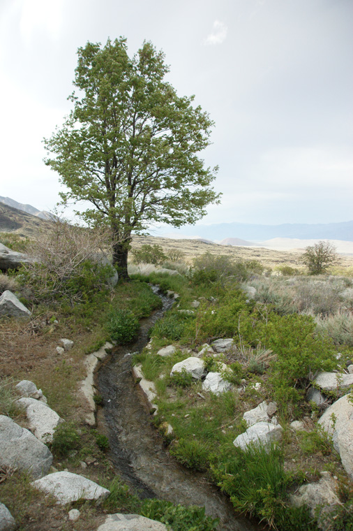 DSC05603