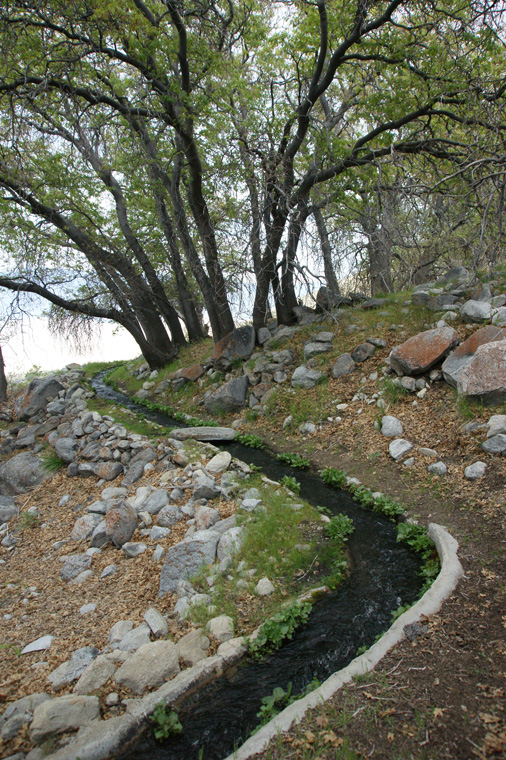 DSC05608