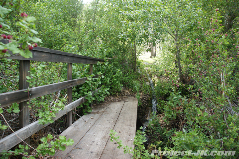 DSC05611
