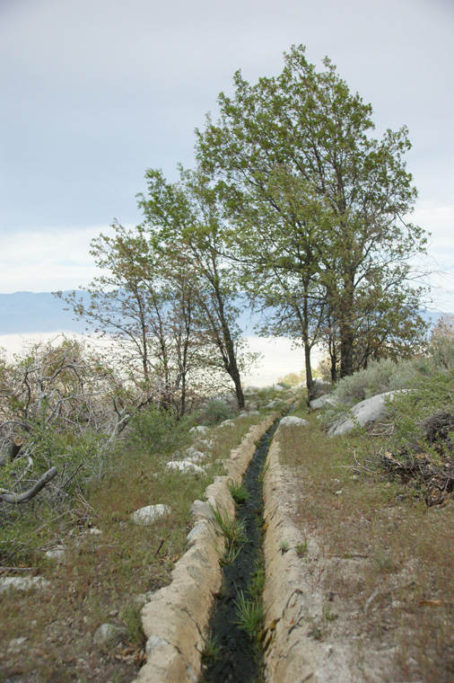 DSC05616
