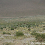 DSC05625