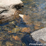 DSC06259