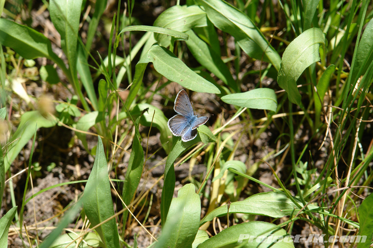 DSC07079