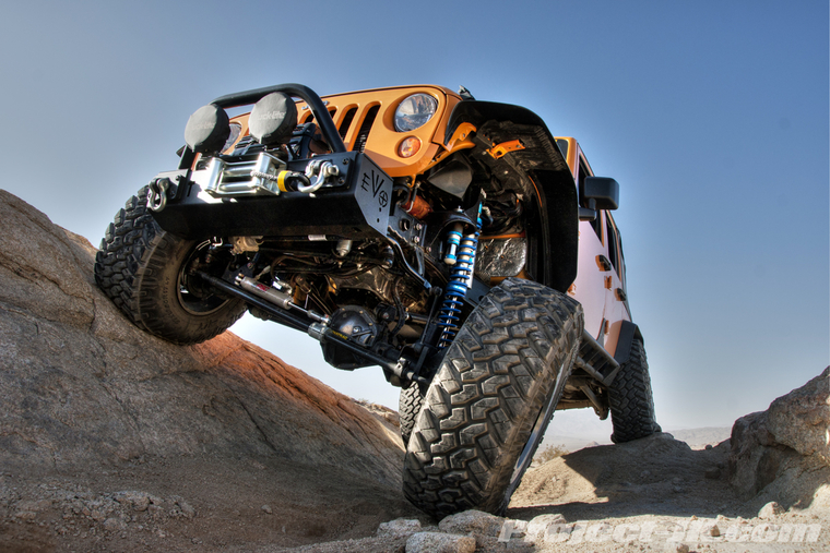 DSC01061dark_light_med_ton copy