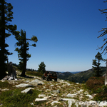 DSC03045