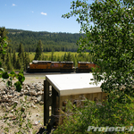 DSC05456