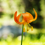 DSC05860-edit