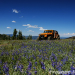 DSC06009-edit