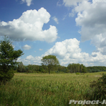 DSC05212