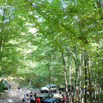 DSC05341