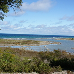 DSC06636