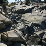 DSC09658