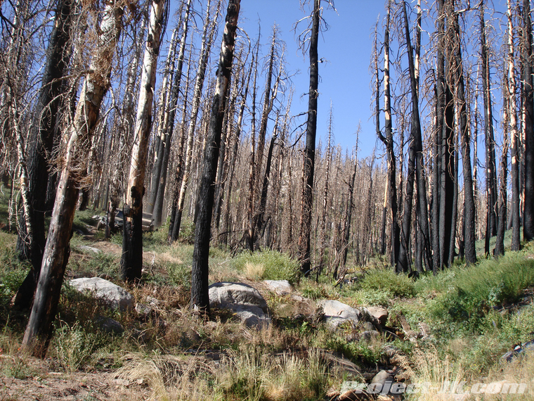 DSC01913
