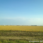 IMG_7323