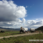 Wagon and Supplies