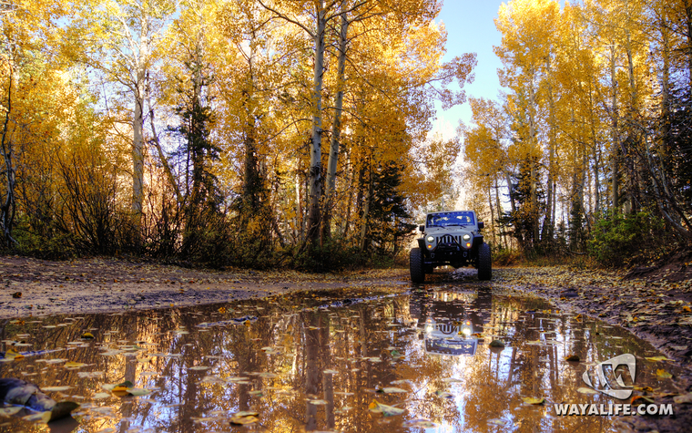 WALpaper-fall-05
