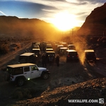 2015 WAYALIFE New Year Kick Off Run