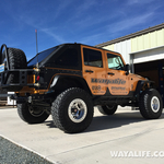 RubiCAT and Moby - New WAYALIFE Decals