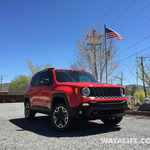 Renny the Red Jeep Renegade in the Redwoods