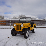 Pappy's First Time in the Snow