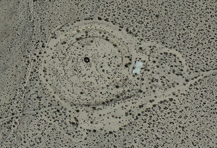 saucer