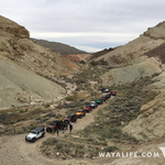 WAYALIFE Newbie Run 2016