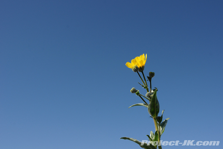 DSC01028