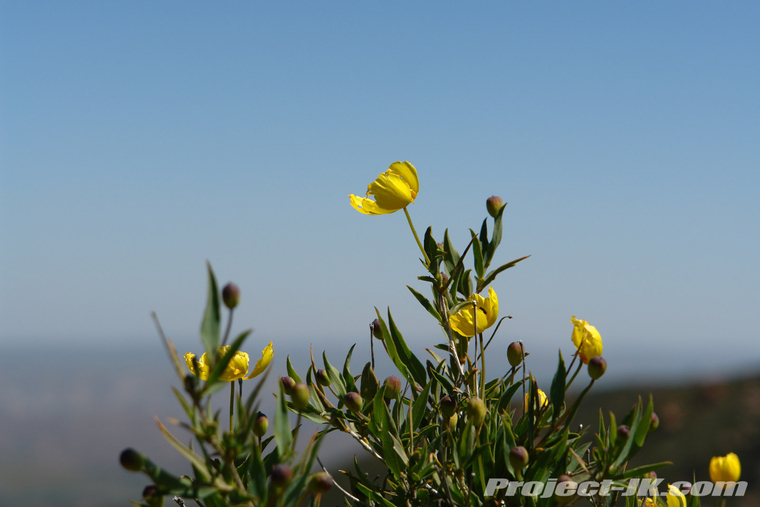 DSC01787