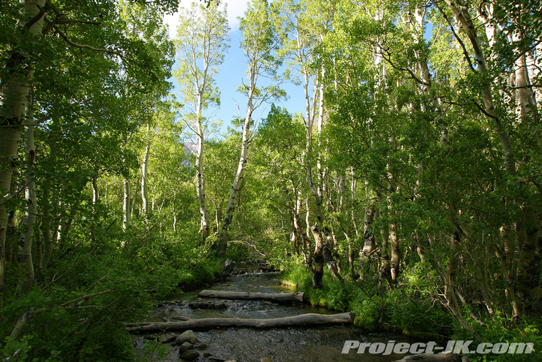 DSC05960