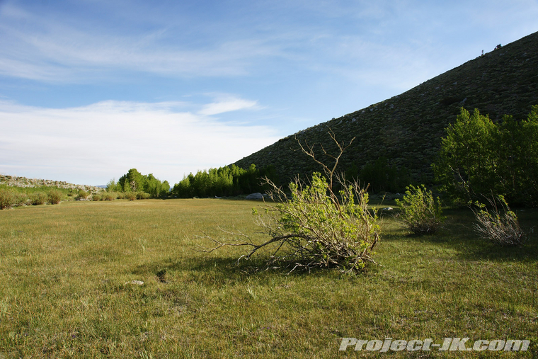 DSC05966