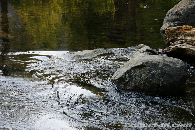 DSC06477