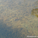 DSC00931