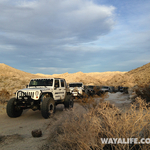 Prospecting for Goldfish in the Mojave 01/11/2014