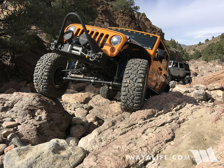Rubicat Jeep JK Wrangler on Bronco Canyon Trail