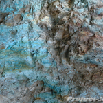 DSC05919