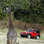 2007 Jeep JK Wrangler