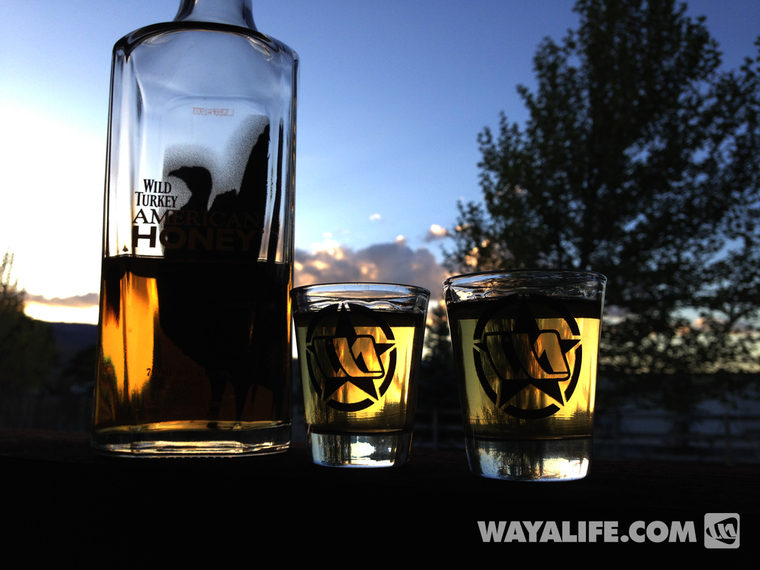 WAYALIFE-SHOTGLASSES-2014