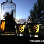 WAYALIFE-SHOTGLASSES-2014